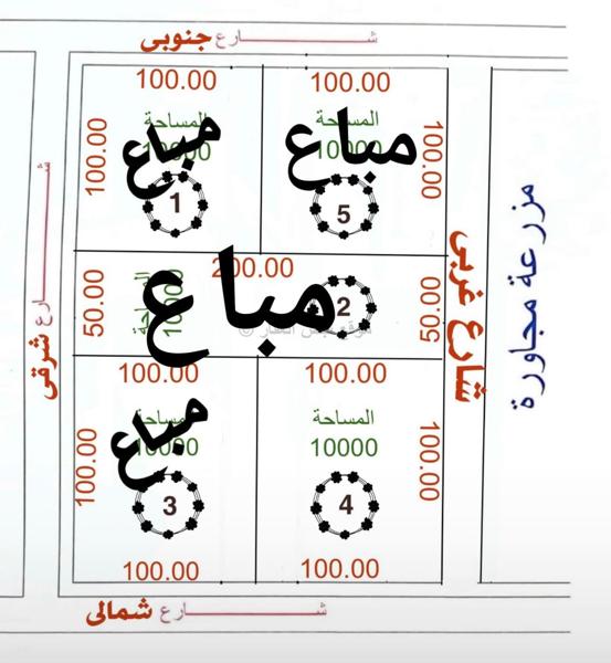 صورة مزارع وجواخير للبيع في مزارع الوفرة